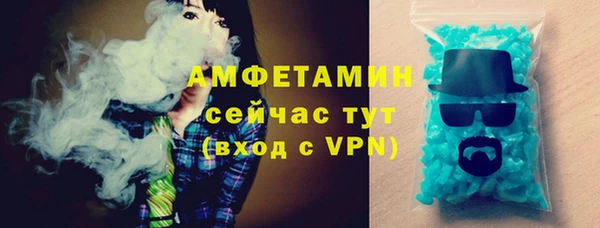винт Абаза