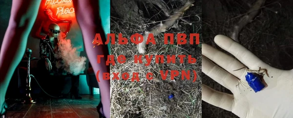 винт Абаза