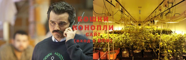 бошки Абинск